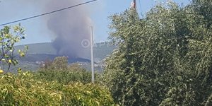 Φωτιά στη Μεσσηνία 