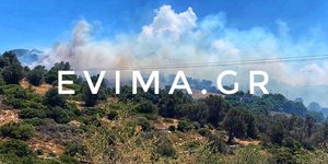 Φωτιά στην Νότια Εύβοια