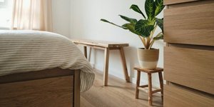 Φυτό στην κρεβατοκάμαρα