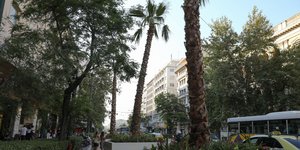 Φοίνικες στην Πανεπιστημίου