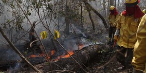 φωτια πυροσβεστες 