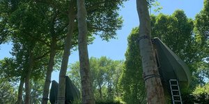 σκηνές που κρέμονται από δέντρα