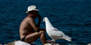 Ενα περιστέρι δίπλα σε λουόμενο στη θάλασσα