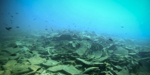 βυθός θάλασσας στην Αλόννησο