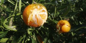 Ζημιές από κακοκαιρία