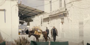 Ντέιβιντ Γκίλμορ