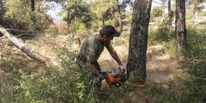 Υλοτόμος επί τω έργω