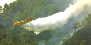 Πυροσβεστικό αεροσκάφος επιχειρεί στην Κύπρο