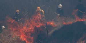 Πυροσβέστες επιχειρούν σε πυρκαγιά στον Αμαζόνιο
