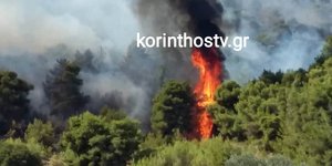 Φωτιά στο Γαλατάκι Κορινθίας