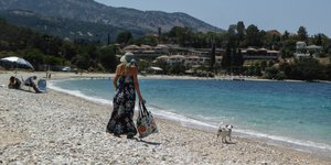 με σκυλο στην παραλία