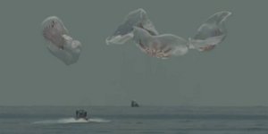 Η στιγμή της προσθαλάσσωσης του σκάφους της SpaceX