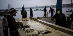 Ψαραγορά στο Περού