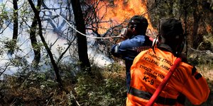 Πυροσβέστες σβήνουν φωτιά σε δάσος