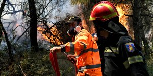 πυροσβέστες σβήνουν φωτιά σε δάσος 