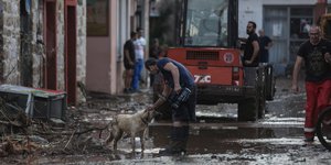 πυροσβέστης χαϊδεύει σκύλο