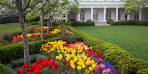 Ο κήπος του Λευκού Οίκου με τα πολύχρωμα άνθη