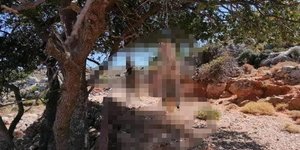 Φρίκη στα Χανιά: Βασάνισαν μέχρι θανάτου μικρά σκυλιά και τα κρέμασαν