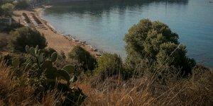 θαλασσα θαμνοι
