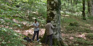 Σε πλήρη εφαρμογή το σχέδιο της ΕΛ.ΑΣ. για την αποφυγή συνωστισμού στις πλατείες