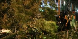 Περαστικοί δίπλα από δέντρο που έπεσε στον δρόμο