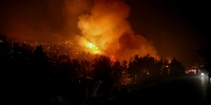 Φωτιά σε δάσος