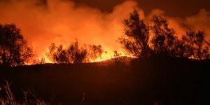 Φωτιά σε δασική περιοχή στον Εβρο