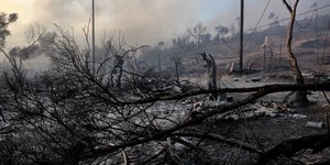 Εσβησε η φωτιά στη δυτική Λέσβο