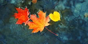 Φθινοπωρινός καιρός