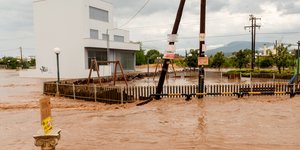 κουνιες σε λασπες 