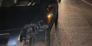 Σύγκρουση αυτοκινήτου με αγριογούρουνα