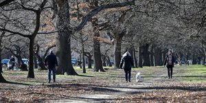 Πεζοί σε πάρκο στη Νέα Ζηλανδία