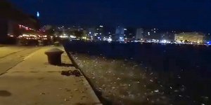 Θεσσαλονίκη ψάρια στην παραλία