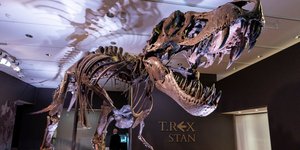 Ένας σκελετός T-rex, ηλικίας 67 εκατομμυρίων ετών, θα δημοπρατηθεί από τον οίκο Christie’s στη Νέα Υόρκη
