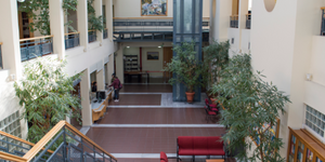 Πανεπιστήμιο Δυτικής Αττικής