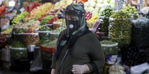 ασπιδα πρασινη πισω φρουτα