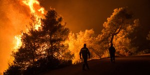 Φωτιά στους Καλλιανούς Ευβοίας