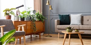 Το νέο trend στα φυτά εσωτερικού χώρου