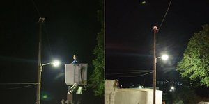 γάτα διάσωση