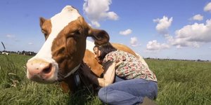 γυναίκα αγκαλιάζει αγελάδα στην εξοχή