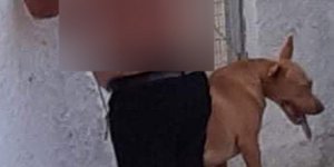 Κακοποίηση σκύλου στα Χανιά