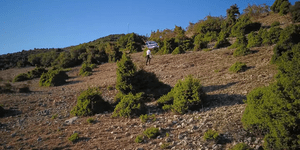 Σέρρες: Η ξεχωριστή και... μοναχική μαθητική παρέλαση για την 28η Οκτωβρίου