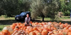 Παραγωγός κολοκύθας στη φύση