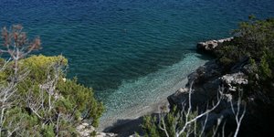 παραλια πεύκα βραχια