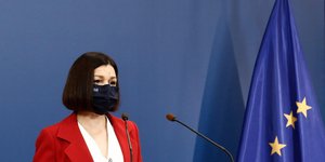 Αριστοτελία Πελώνη