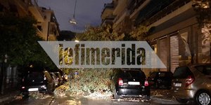 Πεσμένο δέντρο στους Αμπελόκηπους