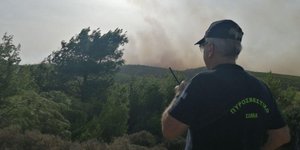 Πυροσβέστης ελέγχει φωτιά