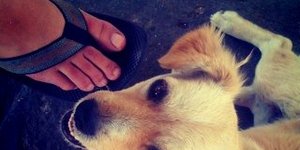 Αυτή είναι η πρώτη ανάρτηση που έγινε ποτέ στο Instagram