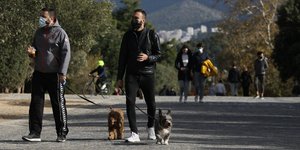 περιπατος σκυλια