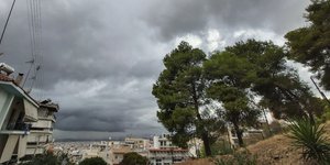 πεύκα συννεφα 